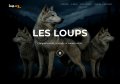 Sur la piste du loup