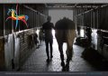 Manège de la Tuilerie - Equitation Chalon sur Saône