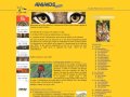 Animos Photos