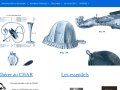 Club de l'Histoire de l'anesthésie