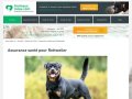 Chien Rottweiler