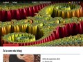 Images des Mathématiques