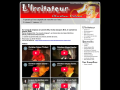 L'Irritateur