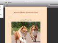 Les deux frères