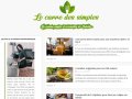 Le Carré des Simples
