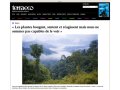 Terra eco