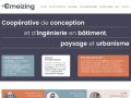 Ameizing