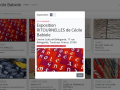 babiole.net