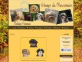 Bichons Havanais Elevage du Marronnier