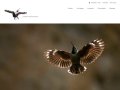 Christophe Sidamon-Pesson Photographies