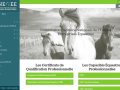 CPNE-EE Formations Equestres Professionnelles