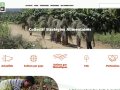 Collectif stratègies alimentaires