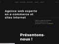 De Bussac Multimédia, Agence de communication internet