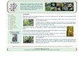 Ikebana-zen.com