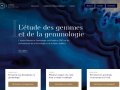 Institut National de Gemmologie