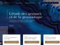 Institut National de Gemmologie