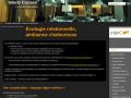 InterG conseil