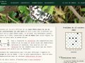 Ligue Rhône-Alpes du jeu de dames