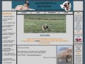 Chien de protection de troupeaux