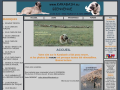 Chien de protection de troupeaux
