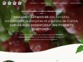 Tomates et Concombres de France