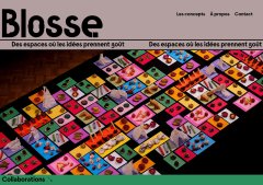 Blosse - Des espaces où les idées prennent goût